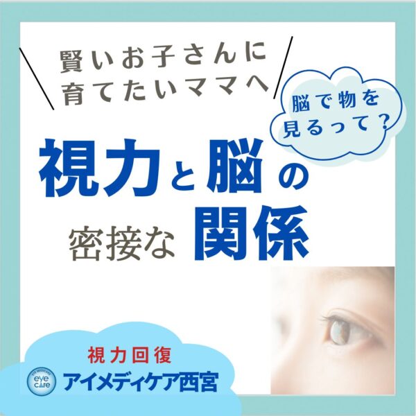 視力と脳の密接な関係